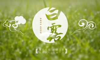 關(guān)于白露的古詩詞詩句
