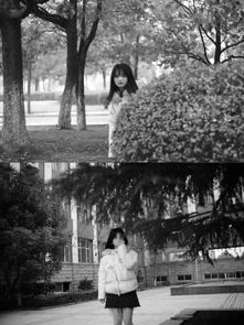 圓月,詩(shī)句,于月