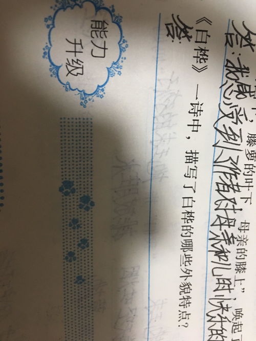 古詩中描寫夏冬特征的詩句