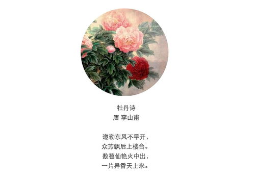 有關(guān)于贊美牡丹的詩句