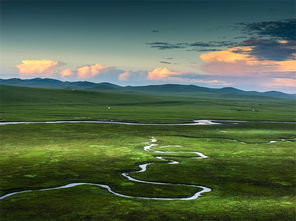 詩(shī)句,大草原,風(fēng)光