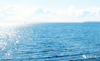 關(guān)于魚和海的詩(shī)句古詩(shī)