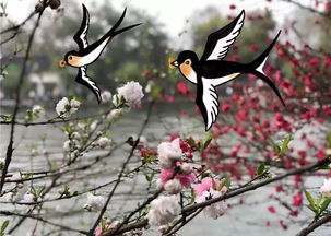 關(guān)于景色好的詩句