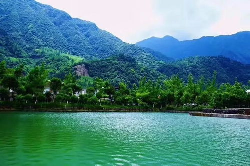 有關(guān)于田園水山的詩句