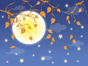 中秋的花詩(shī)句古詩(shī)