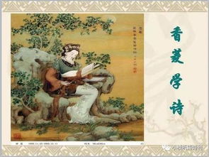 紅樓夢(mèng)關(guān)于讀書(shū)的詩(shī)句