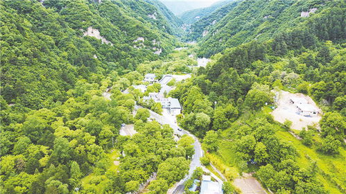 關(guān)于俯瞰群山的詩句