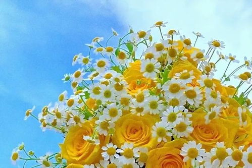 詩句,成長,陽光