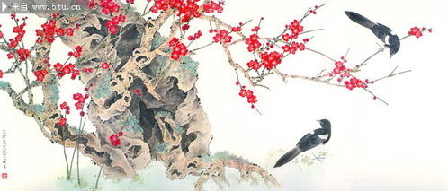 花與鳥的詩句古詩