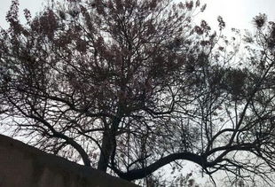 關(guān)于天明詩(shī)句