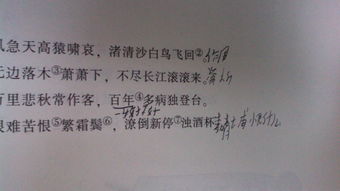 發(fā)現(xiàn)問題及時(shí)改正的古詩句