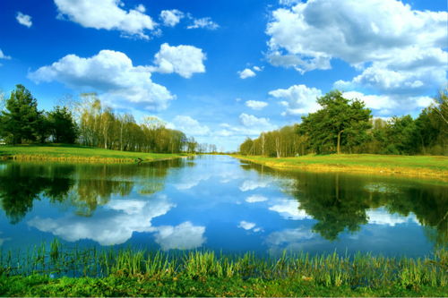 有哪些關(guān)于景色的詩句?,有哪些描寫夏天景色的詩句,關(guān)于夏天景色的詩句有哪些