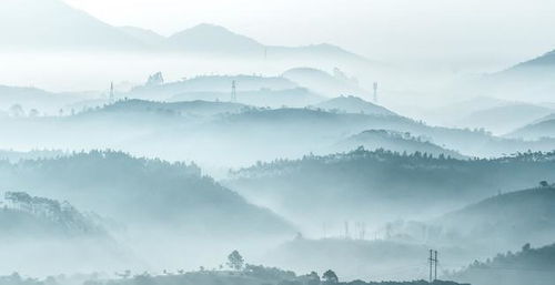 關(guān)于嚴(yán)守規(guī)范的詩句