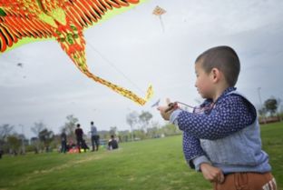 放風箏,古詩,詩句