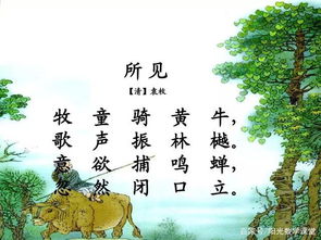 描寫山的詩句古詩三年級,有關(guān)寫山的詩句古詩,杜鵑的詩句古詩三年級