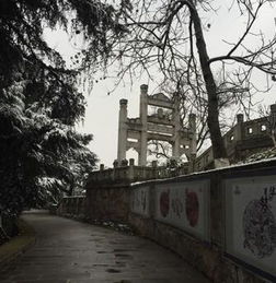 關于龜山蛇山的詩句