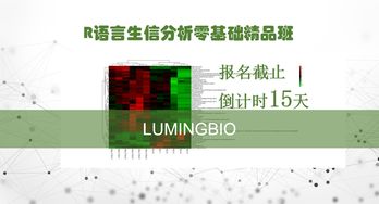 形容腳的重要性的詩句,強(qiáng)調(diào)思想重要性的詩句,強(qiáng)調(diào)農(nóng)業(yè)重要性的詩句