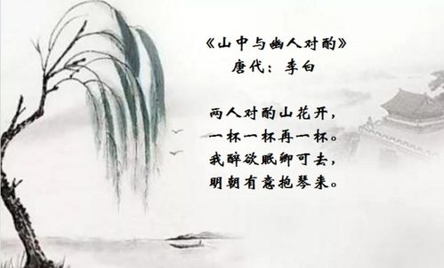 關(guān)于小酌詩句