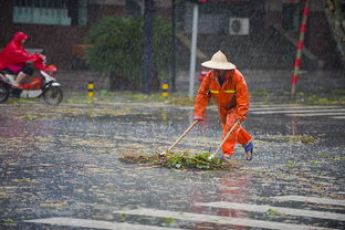 關(guān)于落花無私奉獻(xiàn)的詩(shī)句