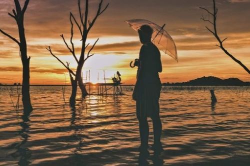 付出終有回報(bào)的古詩(shī)句,有付出就有回報(bào)的古詩(shī)或名言警句,付出得不到回報(bào)的古詩(shī)