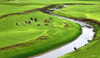 關(guān)于描寫草原風(fēng)景的詩句古詩