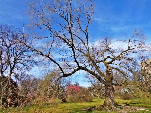 古詩詞中不少詩句寫到花草樹木比如