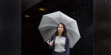 關(guān)于求職的詩(shī)句