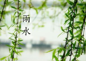 關(guān)于雨潤大地的詩句