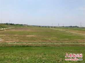 詩句,興旺,農(nóng)業(yè)