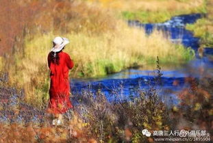 秋葉,古詩(shī),詩(shī)句,秋風(fēng)