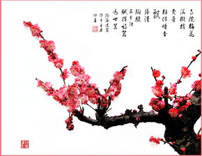 關(guān)于花和影的詩(shī)句