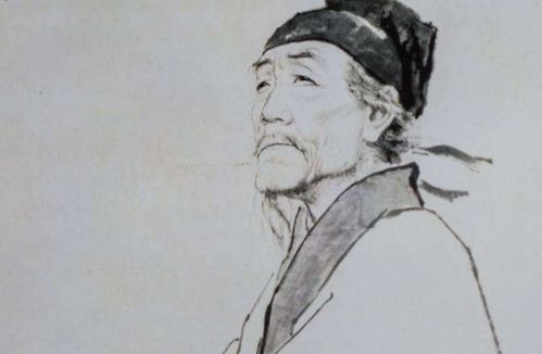杜甫寫鳥的詩句,杜甫帶鳥的詩句,杜甫描寫春鳥的詩句
