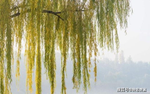 諷刺勢利小人的古詩句