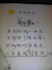 詩(shī)句,贊美,成熟,男人