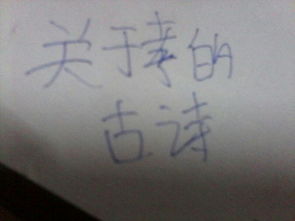 關(guān)于孝的詩句兩句