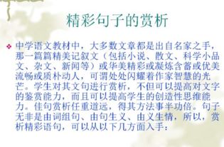 怎樣賞析古詩句子