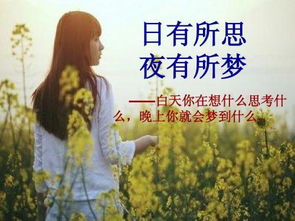 關(guān)于日有所思夜有所夢(mèng)的詩(shī)句