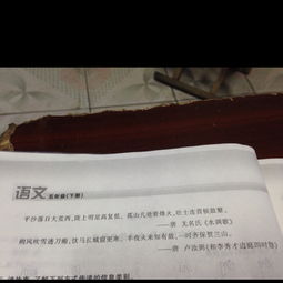 傳遞信息關(guān)于驛站的詩句