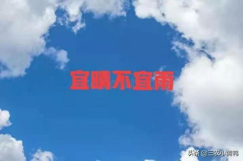 關(guān)于晴天好的詩句