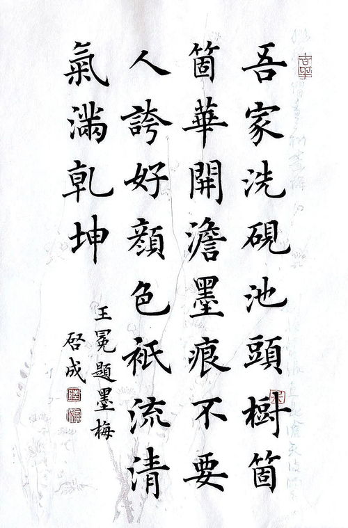 關于梅花的詩句楷書