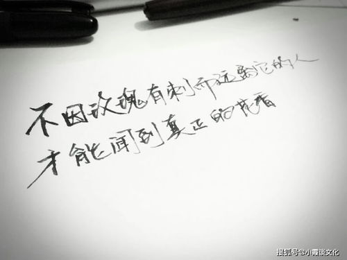 表示努力向上古詩句