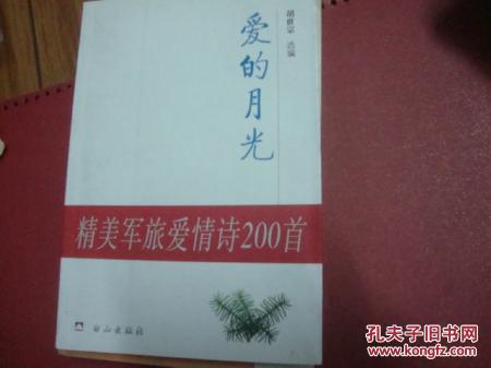 詩句,愛情,于月