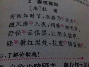 5句帶有地點(diǎn)的古詩句