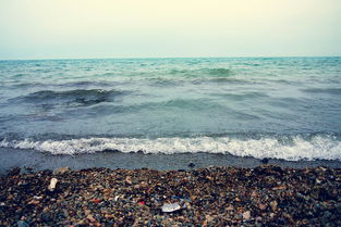 關(guān)于鳥石月亮的古詩句