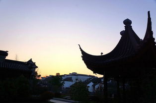 白鷺洲的有名的古詩(shī)句