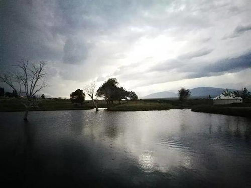 關(guān)于黃昏下雨的詩(shī)句