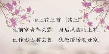 優(yōu)美的鮮為人知的古詩句,鮮為人知的古詩,鮮為人知的古詩名句