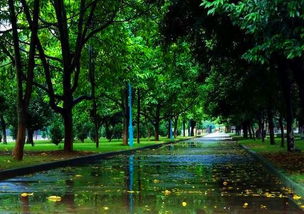 關(guān)于秋雨傷感的詩(shī)句古詩(shī)