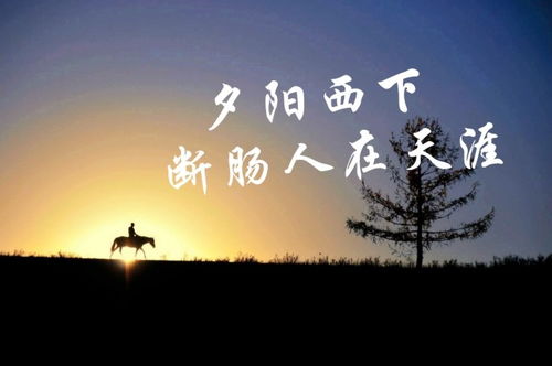 詩(shī)句,落寞,內(nèi)心