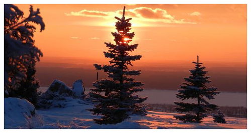 詩(shī)句,感慨,春節(jié)